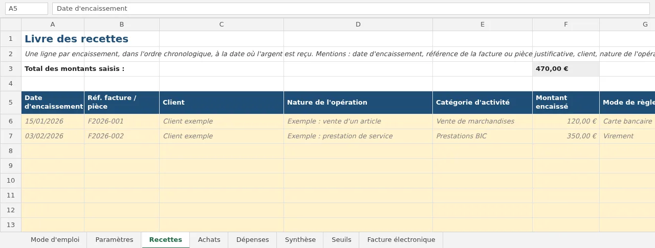 Onglet Recettes du classeur : en-têtes date d'encaissement, référence de facture, client, nature, catégorie, montant, mode de règlement ; deux lignes d'exemple et les huit onglets en bas.